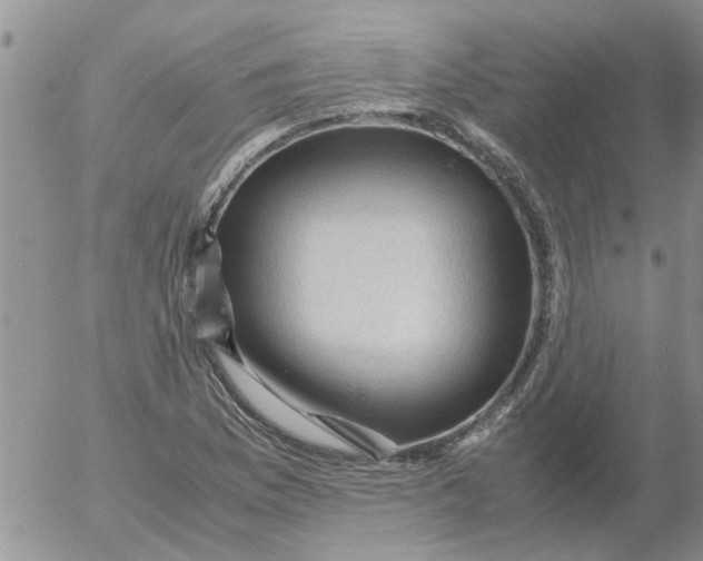 X0000053091169200508012025