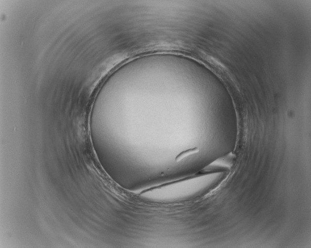 X0000053091170200508012025