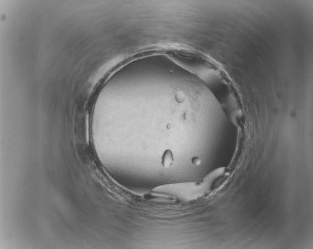 X0000053091171200508012025