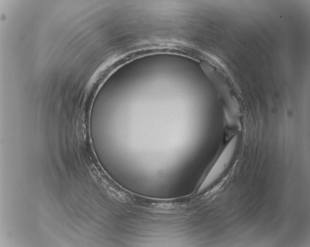 X0000053091172200508012025