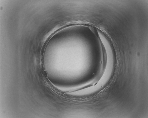 X0000053091173200508012024