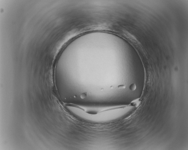 X0000053091174200508012024