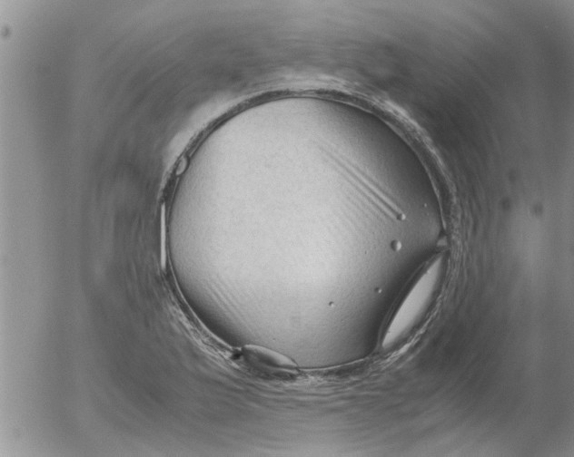 X0000053091175200508012024