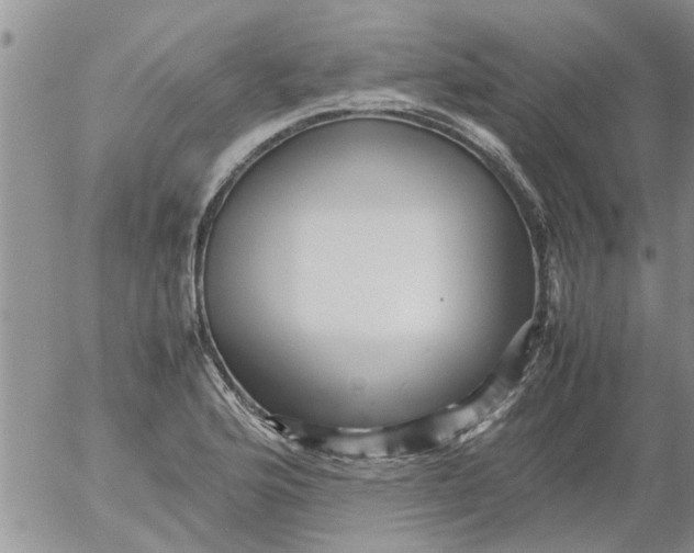 X0000053091176200508012024