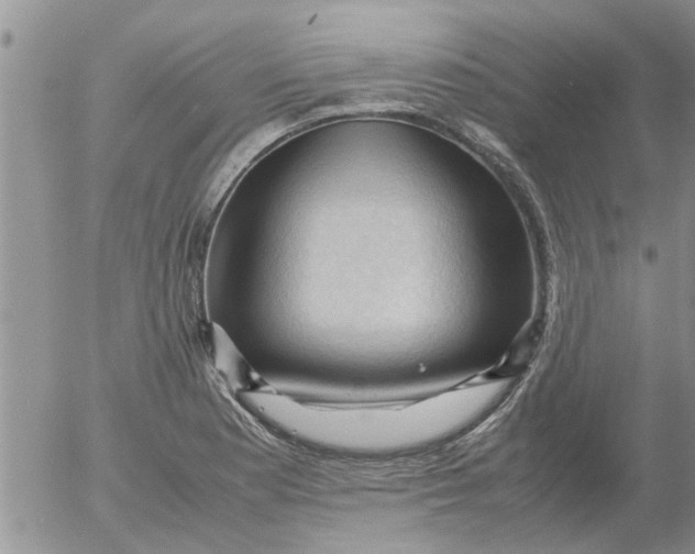 X0000053091177200508012024