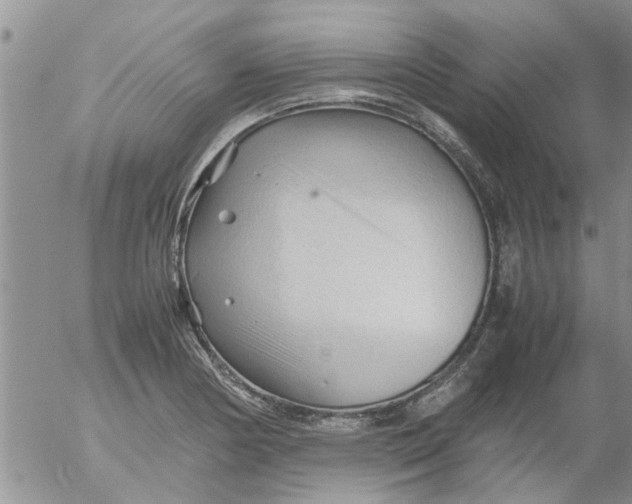 X0000053091178200508012024