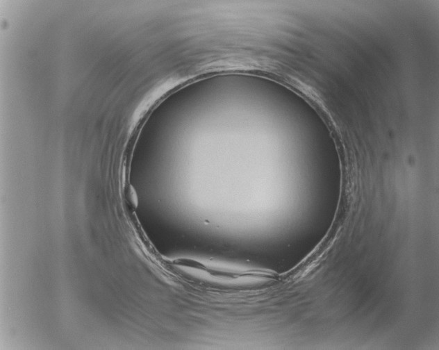 X0000053091179200508012024