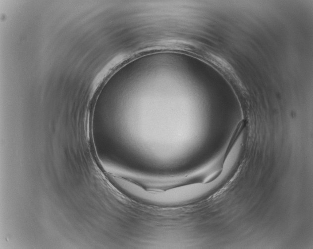 X0000053091180200508012024