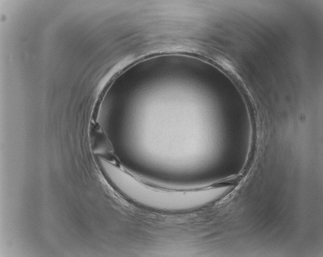 X0000053091181200508012024