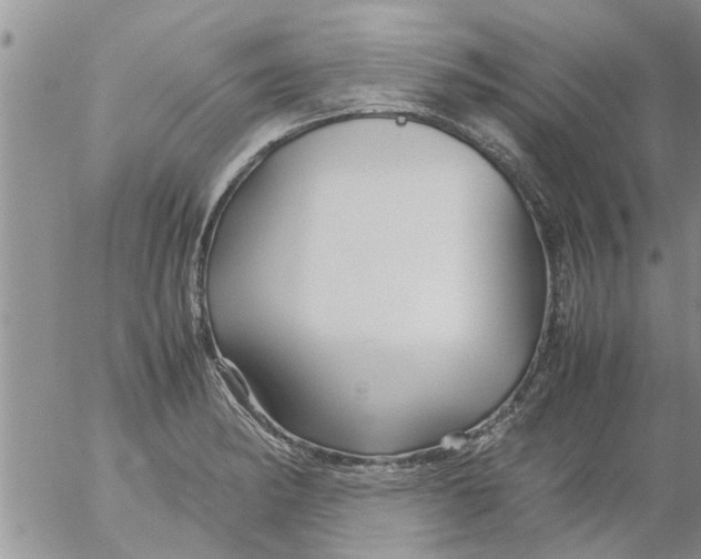 X0000053091182200508012024