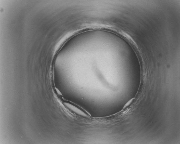 X0000053091183200508012024