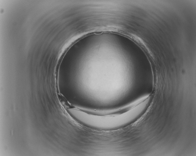 X0000053091184200508012024