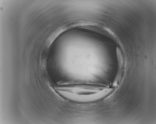 X0000053091185200508012024