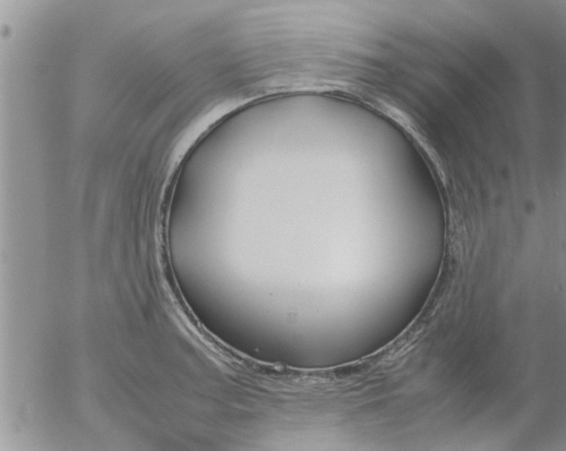 X0000053091187200508012024