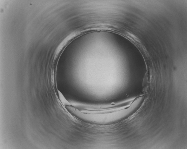 X0000053091188200508012024