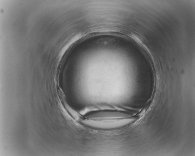 X0000053091189200508012024