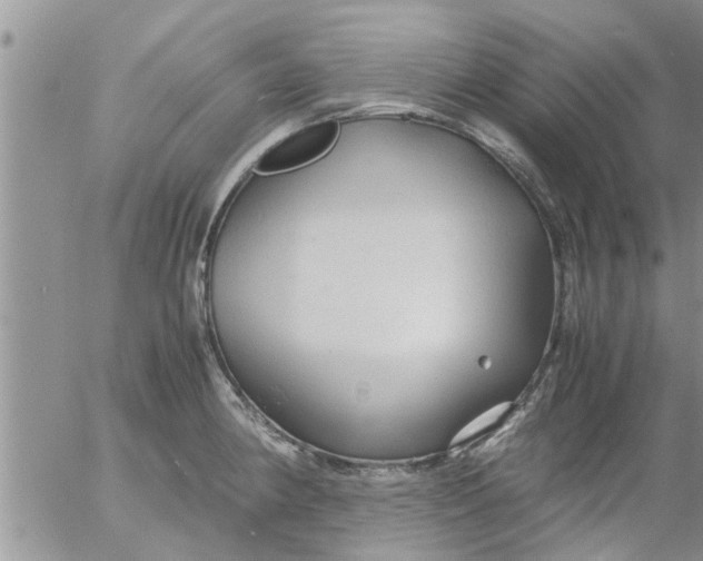 X0000053091190200508012024