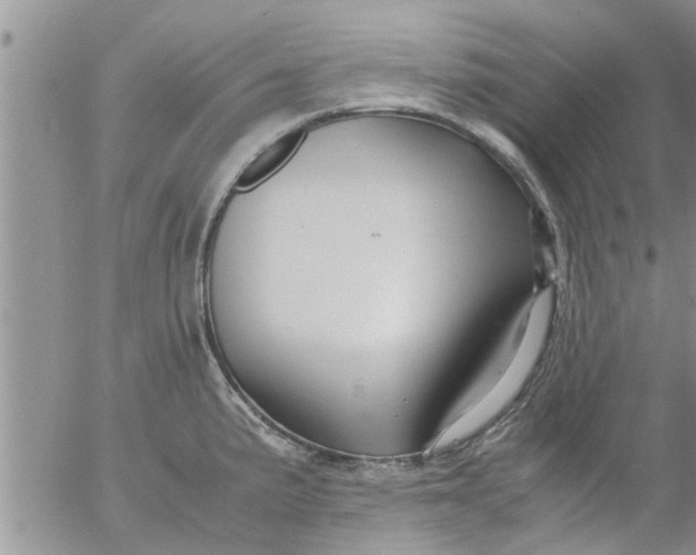 X0000053091191200508012024