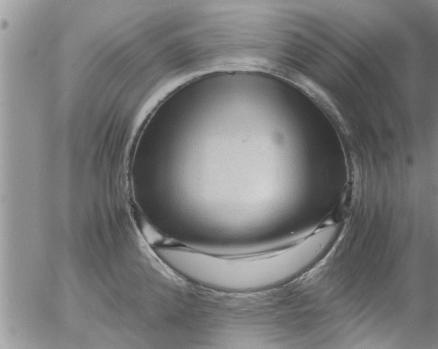 X0000053091192200508012024