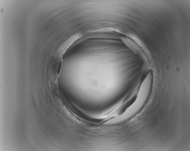 X0000053091193200508012024