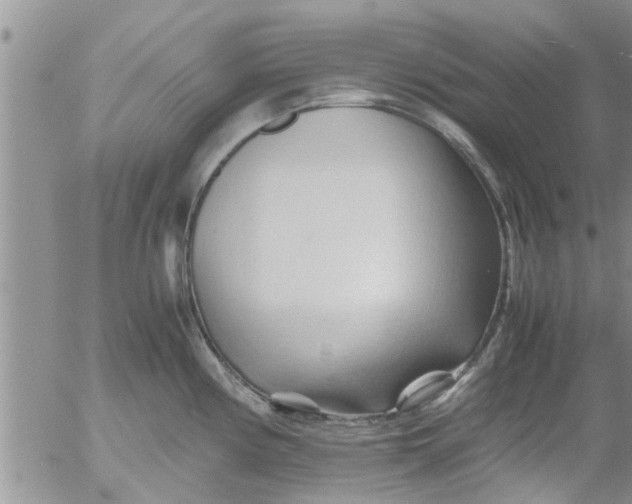 X0000053091194200508012024