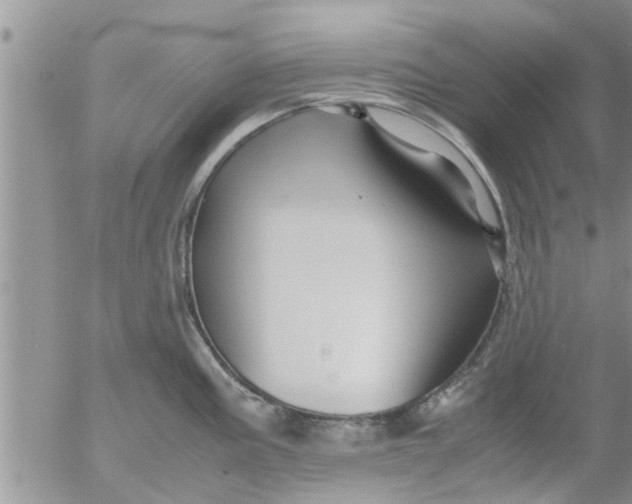 X0000053091195200508012024