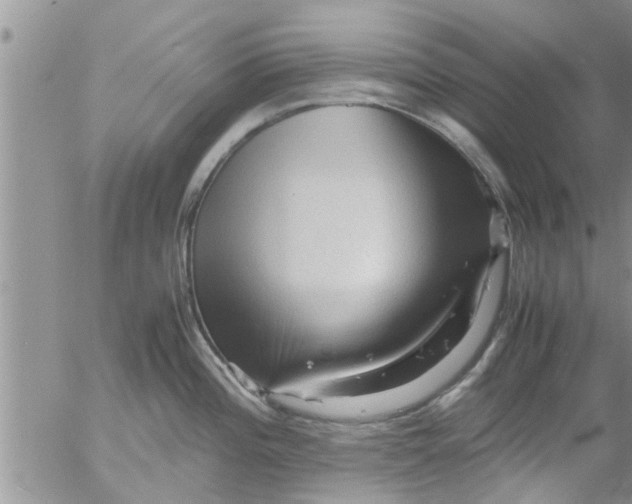 X0000053091196200508012024