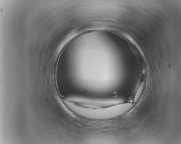 X0000053091197200508012024