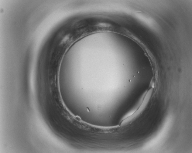 X0000053091199200508012024