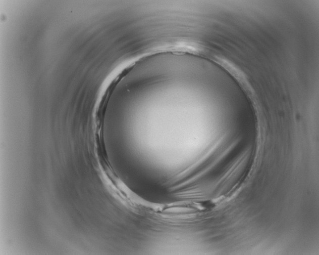 X0000053091200200508012024