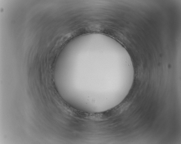 X0000053091201200508012023