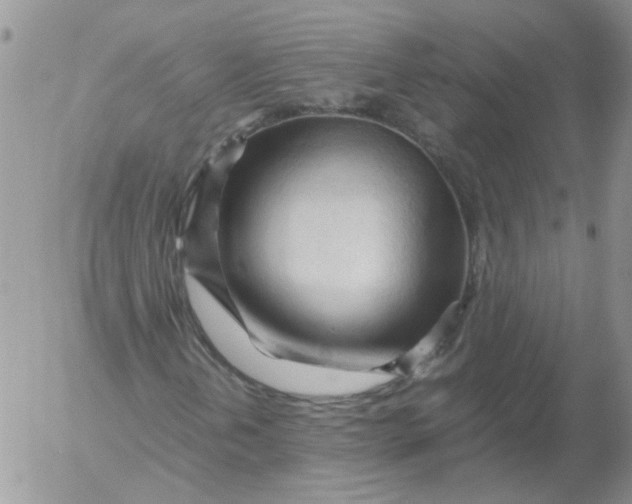 X0000053091202200508012023