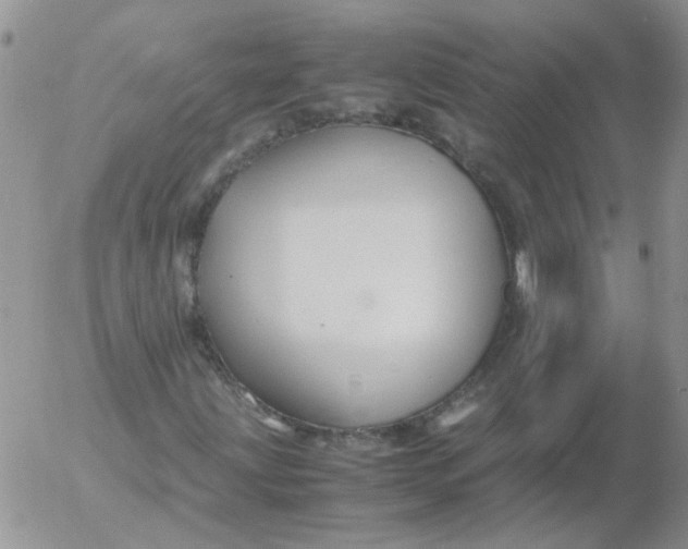 X0000053091203200508012023