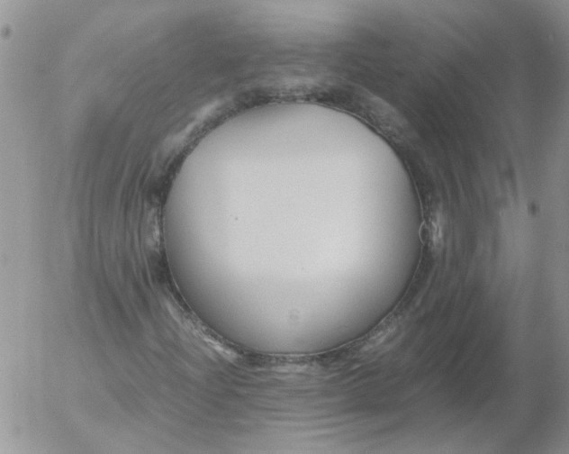 X0000053091204200508012023