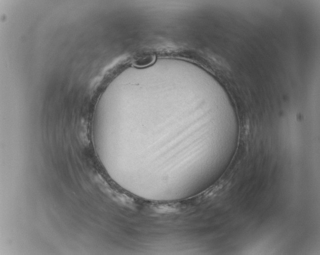 X0000053091205200508012023