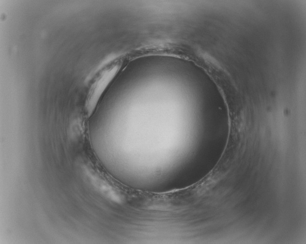 X0000053091206200508012023