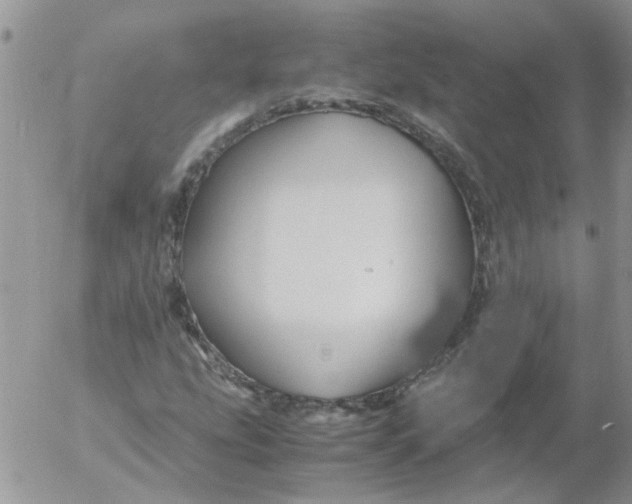 X0000053091207200508012023