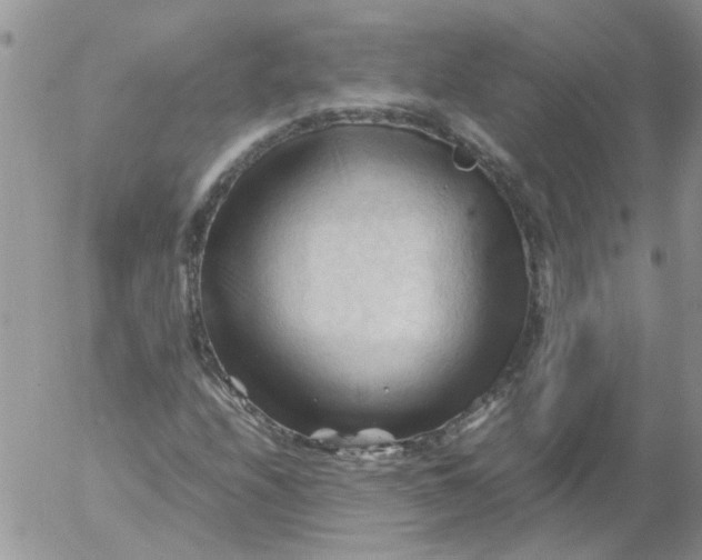 X0000053091208200508012023