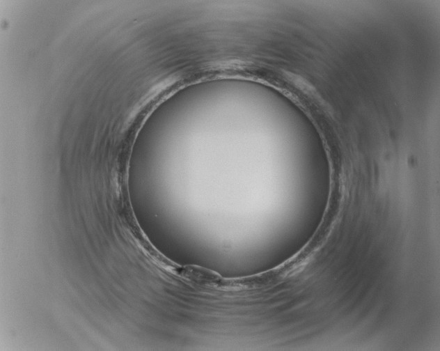 X0000053091209200508012023