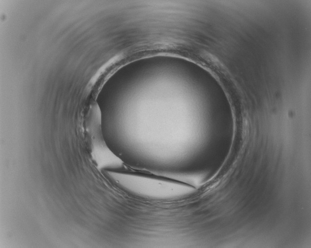 X0000053091210200508012023