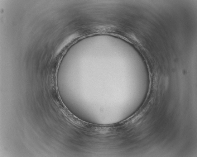 X0000053091211200508012023