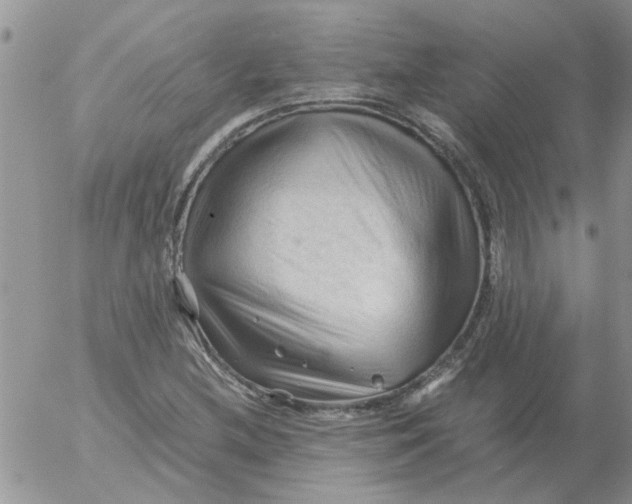 X0000053091212200508012023