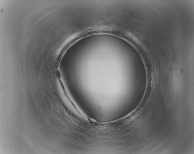 X0000053091213200508012023