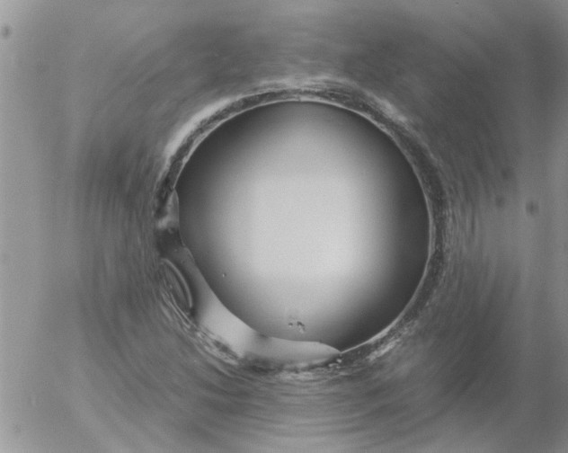 X0000053091214200508012023