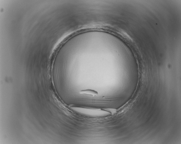 X0000053091216200508012023