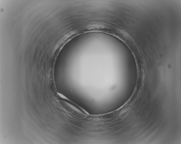 X0000053091217200508012023