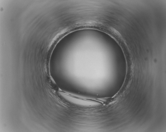 X0000053091218200508012024