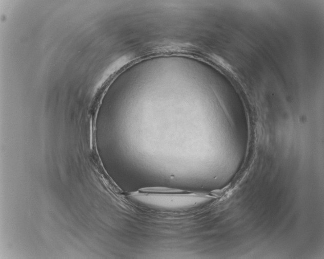 X0000053091219200508012024