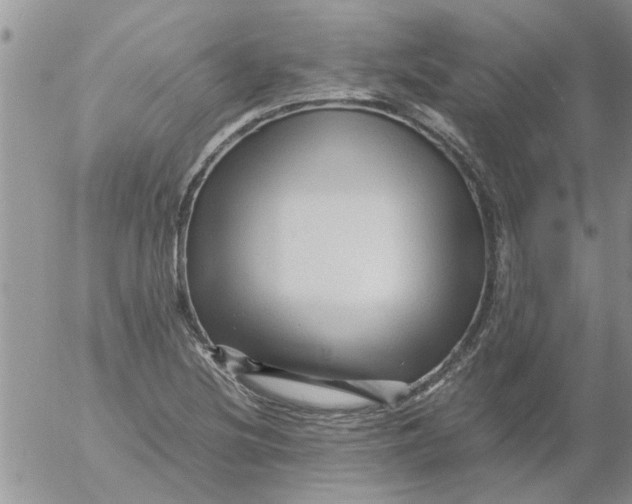 X0000053091220200508012024