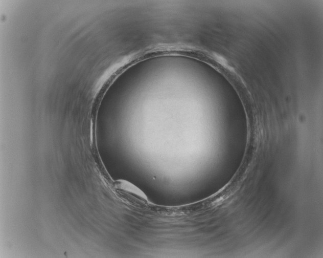 X0000053091221200508012024